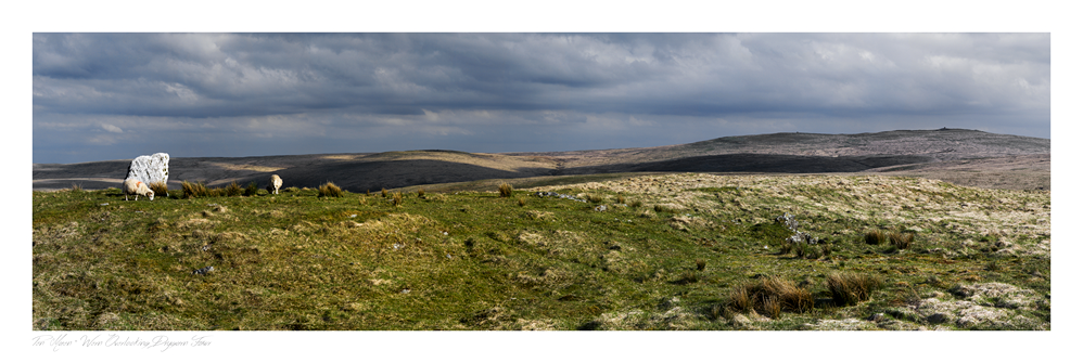 images from wales - Ian Nicholson Photography - Builth Wells
